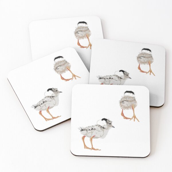 Item preview, Hooded Plover Chicks designed and sold by Barbara Botanica Australis.