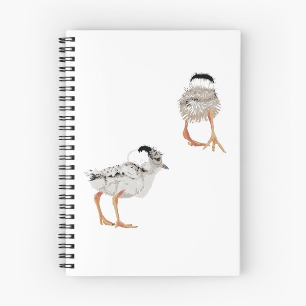 Item preview, Hooded Plover Chicks designed and sold by Barbara Botanica Australis.