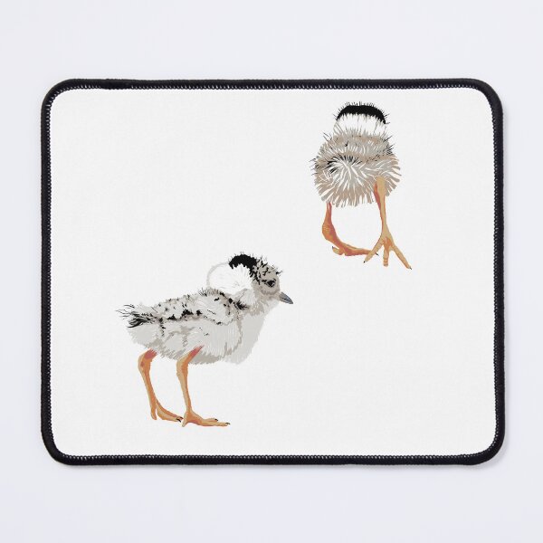Item preview, Hooded Plover Chicks designed and sold by Barbara Botanica Australis.