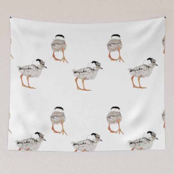 Item preview, Hooded Plover Chicks designed and sold by Barbara Botanica Australis.