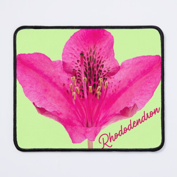 Item preview, Blue Ridge Mountains Pink Rhododendron Blooming  designed and sold by MoreWaterThanBlood.