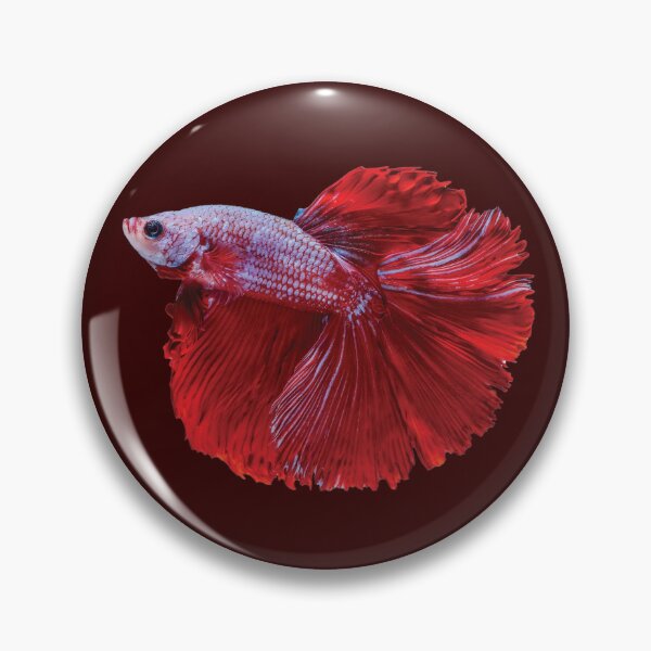 Item preview, purple red beta fish designed and sold by inainart.