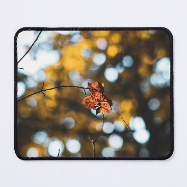 Item preview, A solitary autumn leaf designed and sold by shhiscat.