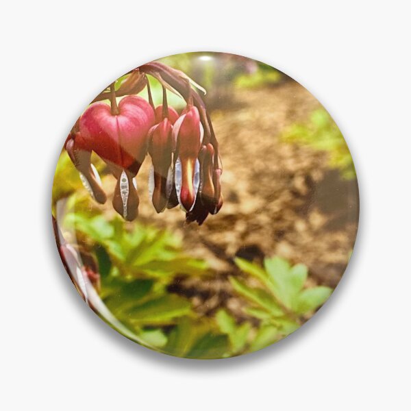 Item preview, Bleeding heart designed and sold by PaintedPuffins.