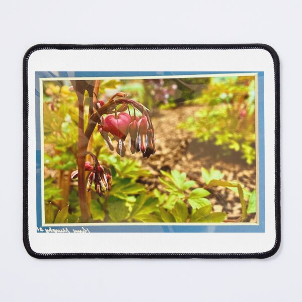 Item preview, Bleeding heart designed and sold by PaintedPuffins.