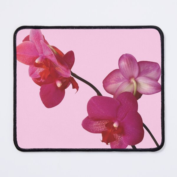 Item preview, pink orchid on stem flower sticker designed and sold by inainart.