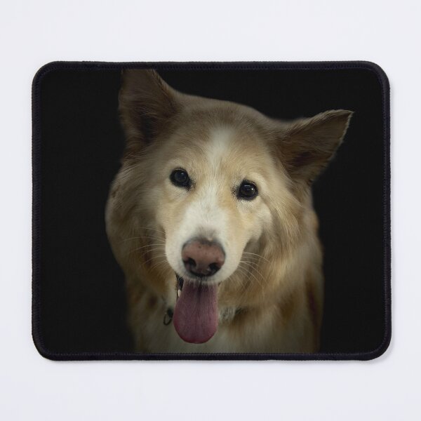 Item preview, Collie Mix Portrait designed and sold by DeeplineArt.