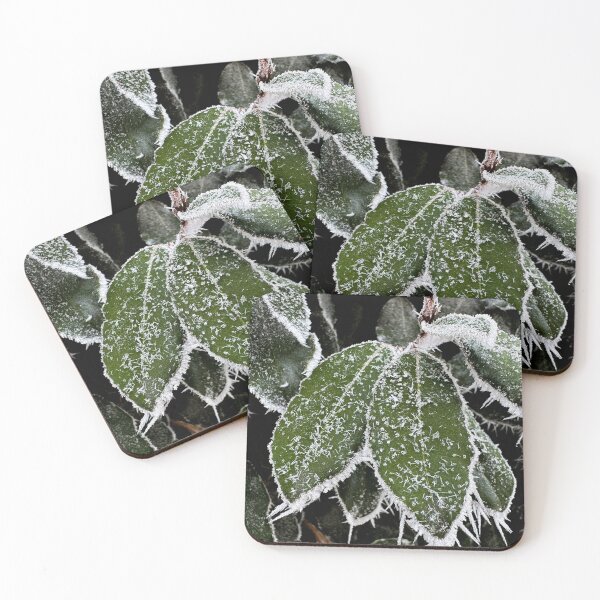 Item preview, winter came designed and sold by shhiscat.