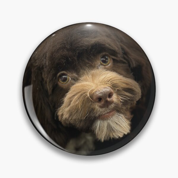 Item preview, Wirehaired Pointing Griffon Portrait designed and sold by DeeplineArt.