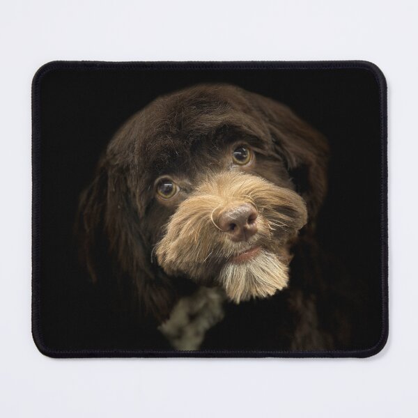 Item preview, Wirehaired Pointing Griffon Portrait designed and sold by DeeplineArt.