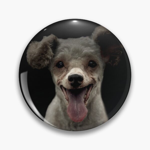 Item preview, Poodle Portrait  designed and sold by DeeplineArt.