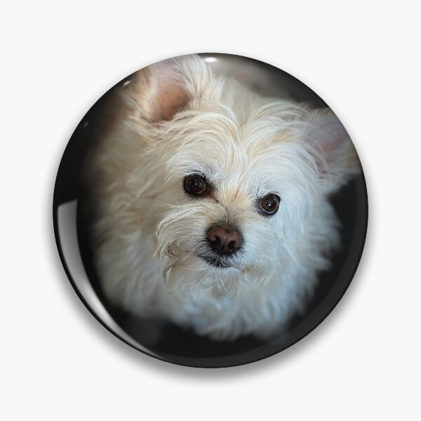 Item preview, Cairn Terrier Cross Portrait designed and sold by DeeplineArt.
