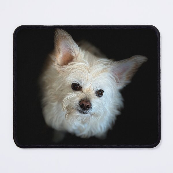 Item preview, Cairn Terrier Cross Portrait designed and sold by DeeplineArt.