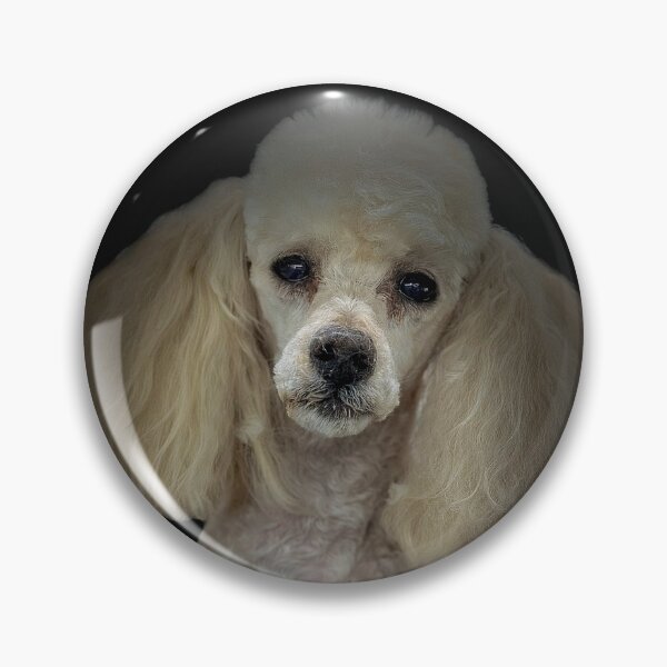 Item preview, Poodle Portrait  designed and sold by DeeplineArt.