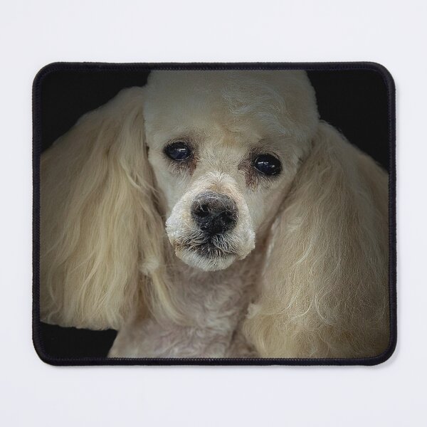 Item preview, Poodle Portrait  designed and sold by DeeplineArt.
