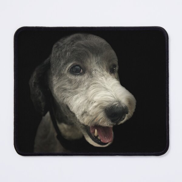 Item preview, Old English Sheepdog Portrait  designed and sold by DeeplineArt.