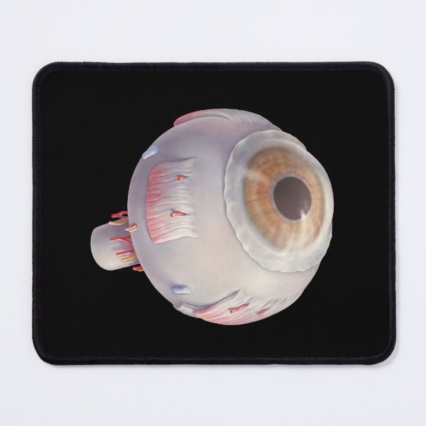Item preview, Eyeball – Vintage Medical Drawing designed and sold by TheDisloyalists.