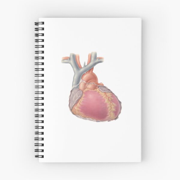Item preview, Heart – Vintage Medical Drawing designed and sold by TheDisloyalists.