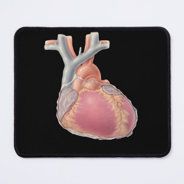 Item preview, Heart – Vintage Medical Drawing designed and sold by TheDisloyalists.