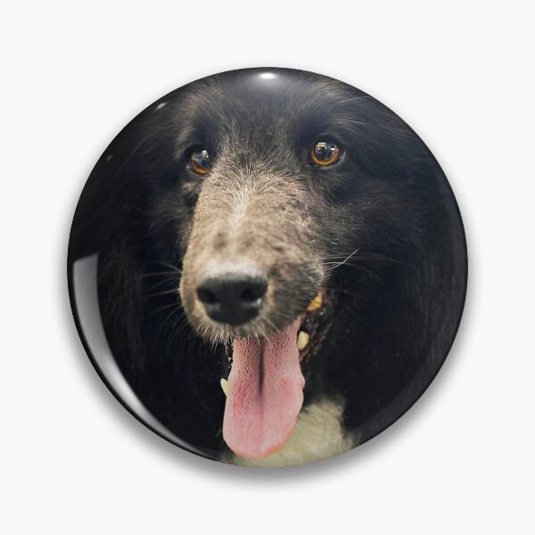 Item preview, Shetland Sheepdog Portrait  designed and sold by DeeplineArt.