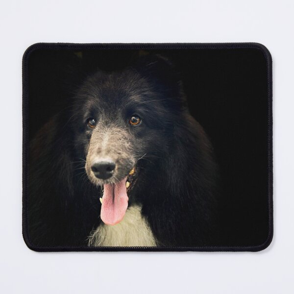 Item preview, Shetland Sheepdog Portrait  designed and sold by DeeplineArt.
