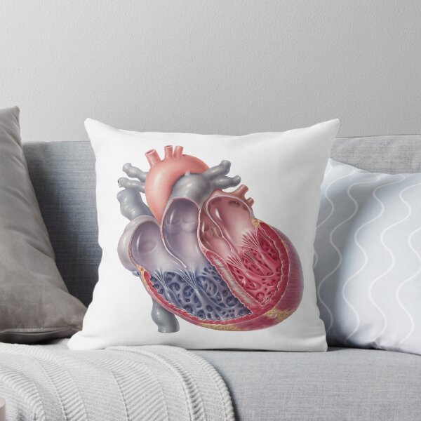 Item preview, Heart Cross Section – Vintage Medical Drawing designed and sold by TheDisloyalists.