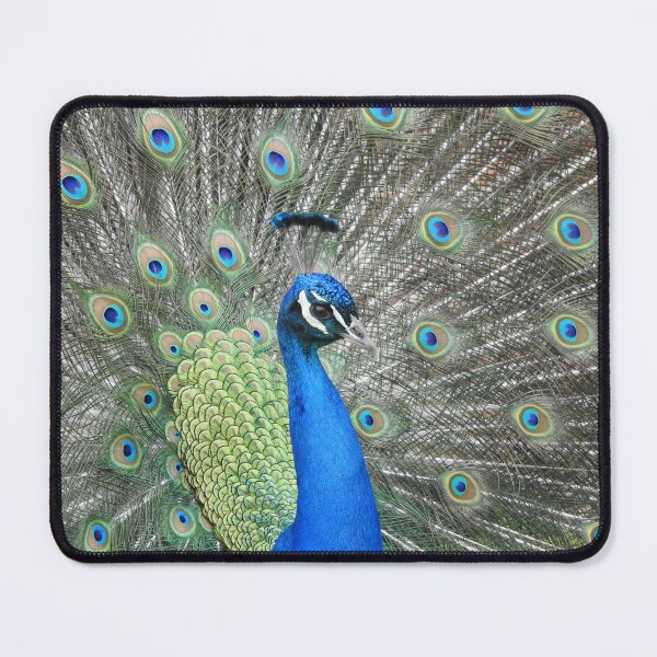Item preview, Peacock side view showing off his fan-shaped tail feathers designed and sold by TwistedClassics.