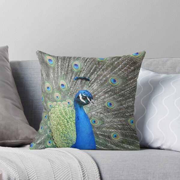 Item preview, Peacock side view showing off his fan-shaped tail feathers designed and sold by TwistedClassics.