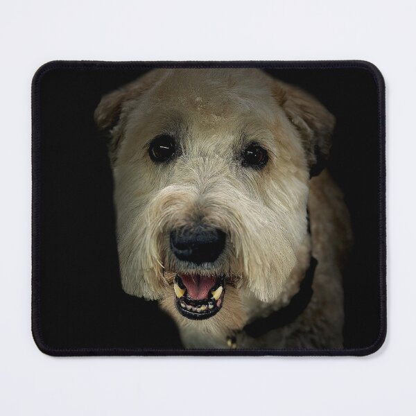 Item preview, Soft Coated Wheaten Terrier Portrait designed and sold by DeeplineArt.