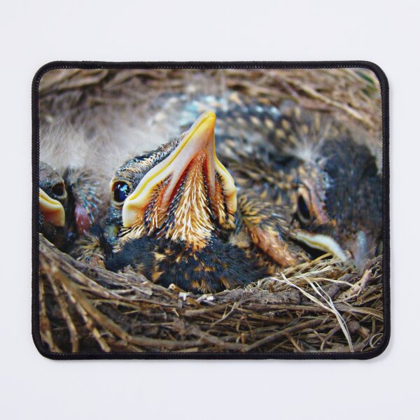Item preview, "Waiting For Mother" designed and sold by Gail Jones.