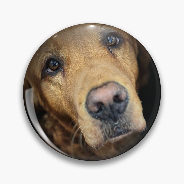 Item preview, Golden Retriever Portrait  designed and sold by DeeplineArt.