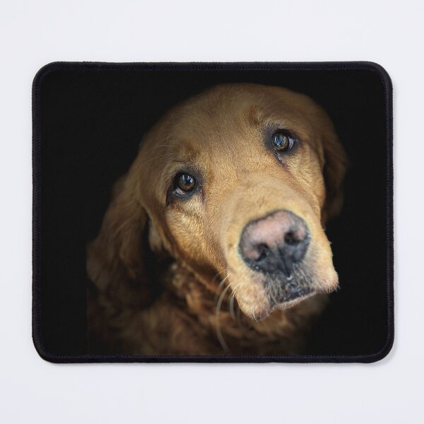 Item preview, Golden Retriever Portrait designed and sold by DeeplineArt.