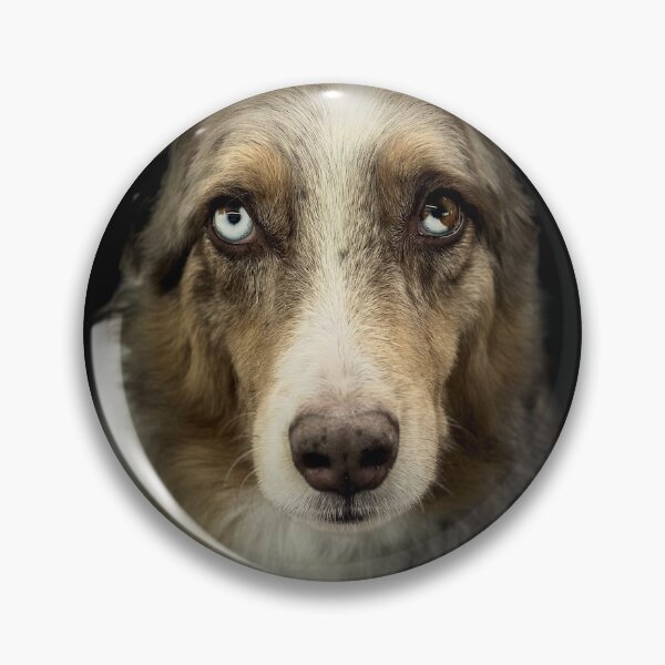 Item preview, Australian Shepherd Portrait designed and sold by DeeplineArt.