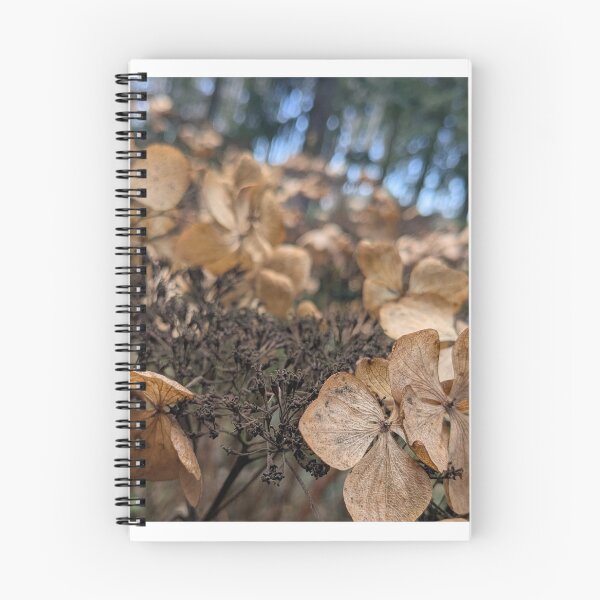 Item preview, Dried Hydrangea 1 designed and sold by KougetsuKanchou.