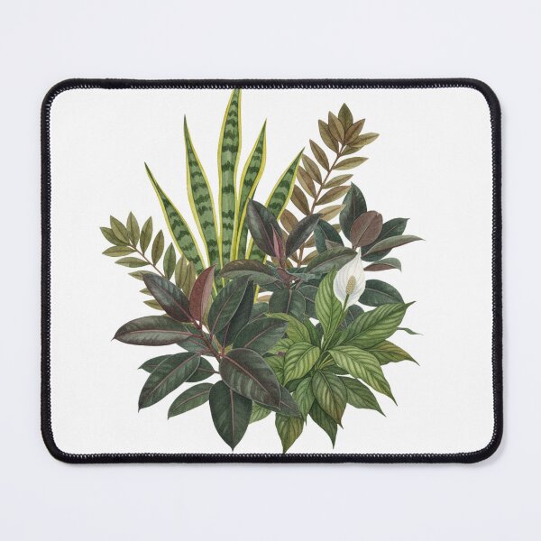 Item preview, Watercolor Indoor Plant Cluster Poster designed and sold by colorvision1.