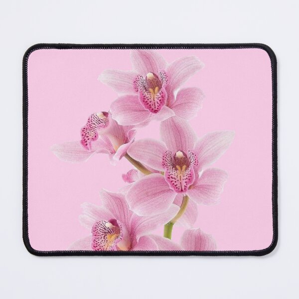 Item preview, pink orchid on stem flower sticker designed and sold by inainart.