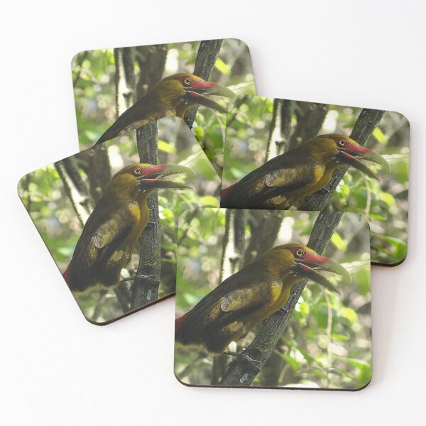 Item preview, Brazil Core Birdwatch Wildlife Nature Aracari Banana designed and sold by helderpoeta.