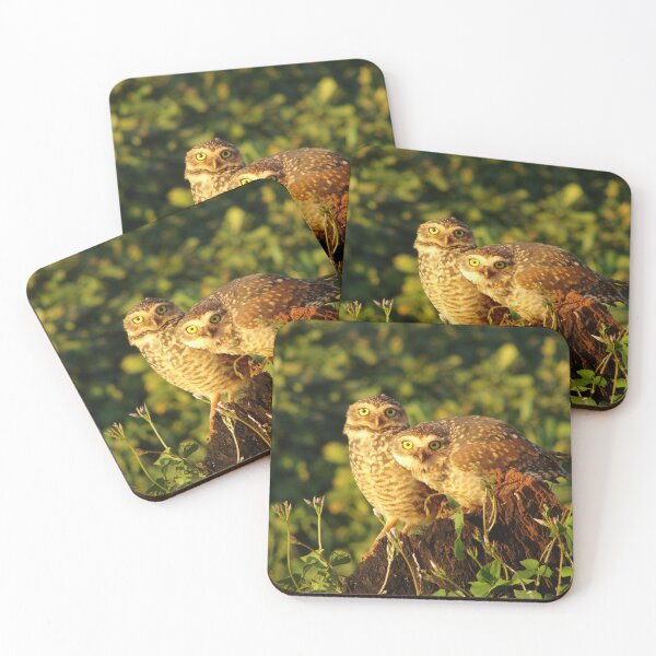 Item preview, Brazil Core Owl Birdwatch Nature Wildlife designed and sold by helderpoeta.