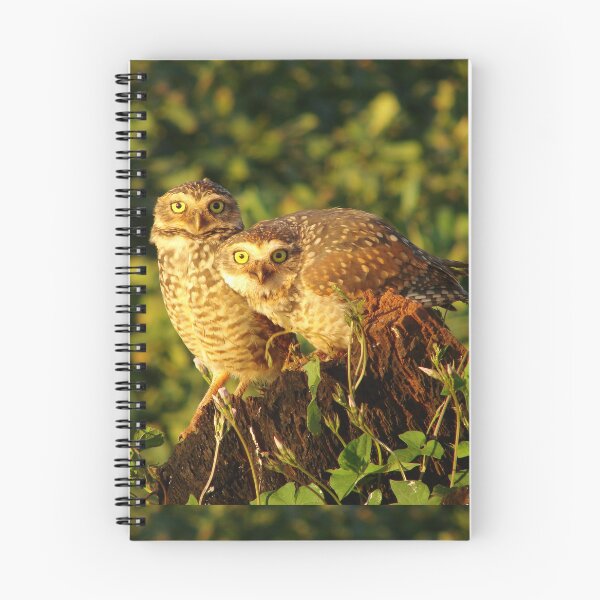 Artikelvorschau, Brasilien Kern Eulen Vogelbeobachtung Natur Wildtiere entworfen und verkauft von helderpoeta.