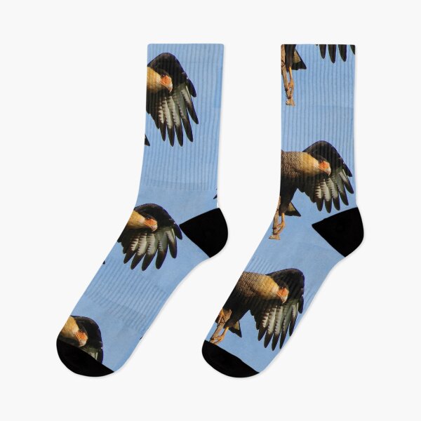 Item preview, Brazil Core Animal Birdwatch Carcara Hawk Brazil Birds designed and sold by helderpoeta.