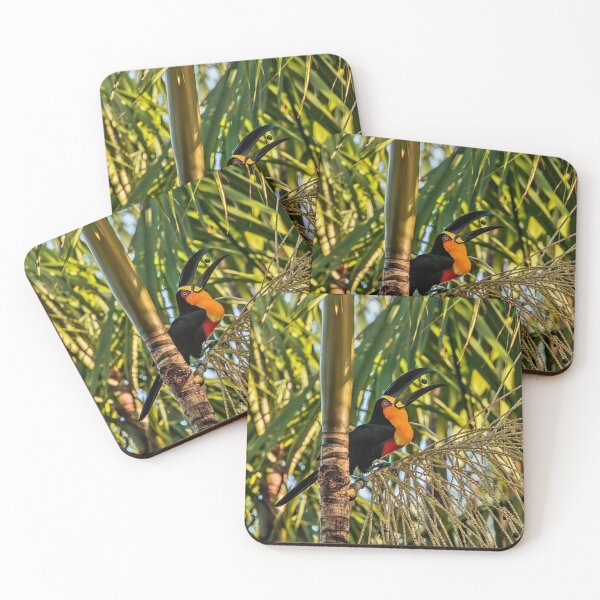 Aperçu de l'œuvre Toucan éclatant dans la forêt tropicale créée et vendue par Lellenatavarez.