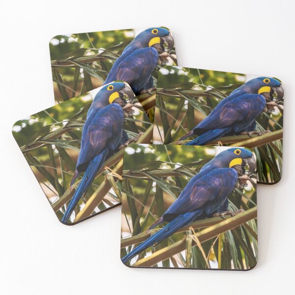Item preview, Blue Macaw Tropical Art designed and sold by Lellenatavarez.
