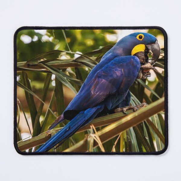Item preview, Blue Macaw Tropical Art designed and sold by Lellenatavarez.