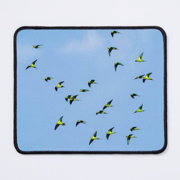 Item preview, Flying Parrots Artwork designed and sold by Lellenatavarez.