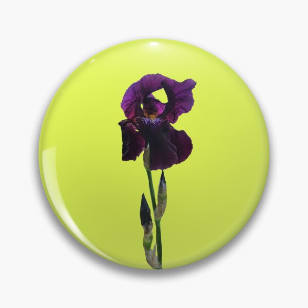 Item preview, Isolated purple iris in full bloom designed and sold by Enerjetal.