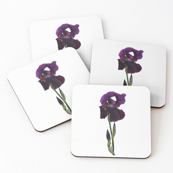 Item preview, Isolated purple iris in full bloom designed and sold by Enerjetal.
