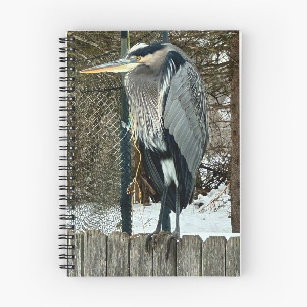 Item preview, Beautiful blue heron on a fence designed and sold by Raineylanes.