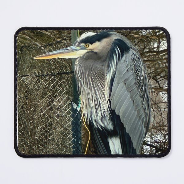 Item preview, Beautiful blue heron on a fence designed and sold by Raineylanes.