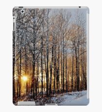Shimmering Icy Sunset iPad Case/Skin
