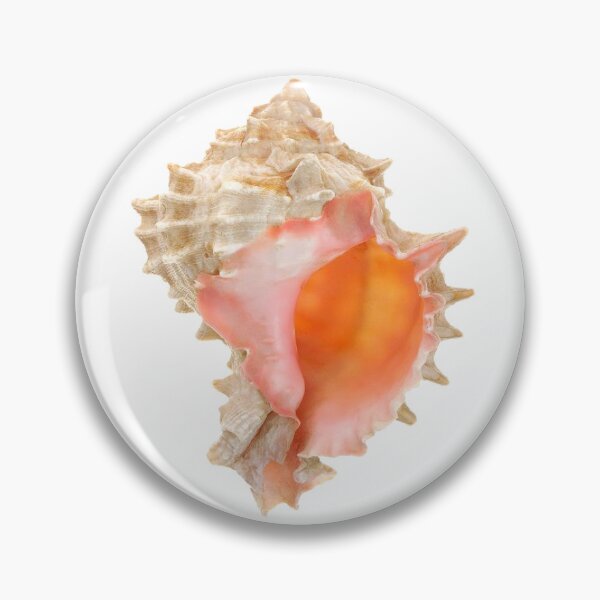 Item preview, conch shell it girl star girl sticker designed and sold by inainart.
